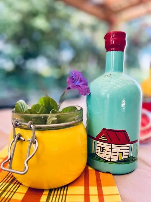 Prázdninový dům Vila L'Habitation Thara. Le Moule Guadeloupe