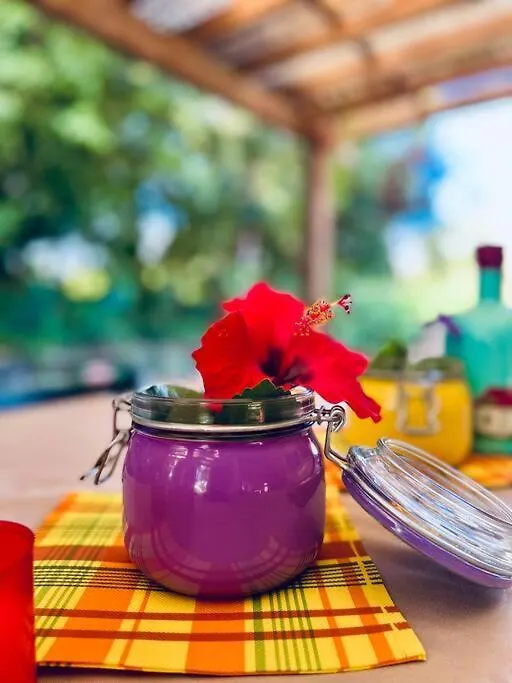 Prázdninový dům Vila L'Habitation Thara. Le Moule